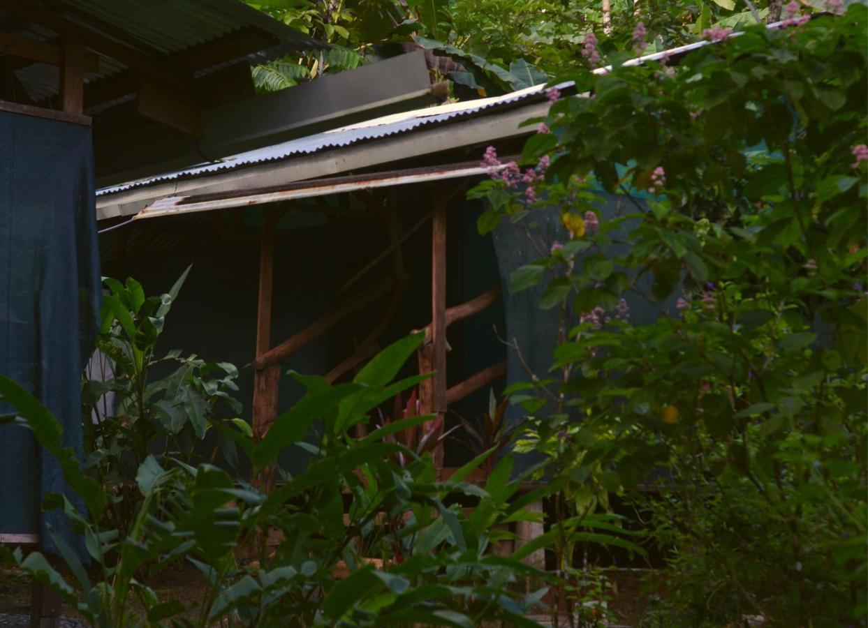 Corcovado Guide House Hotel Barrigones Exterior photo